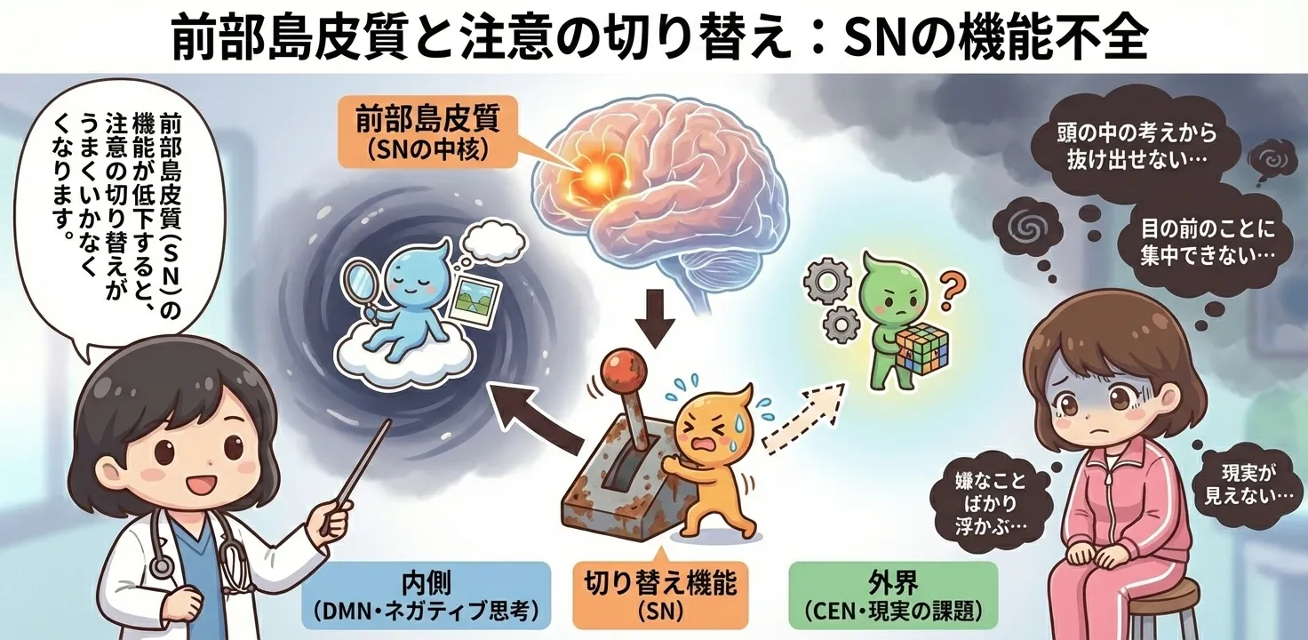 前部島皮質と注意の切り替え